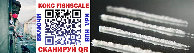 Купить закладки  Карпинск  COCAIN 99% 