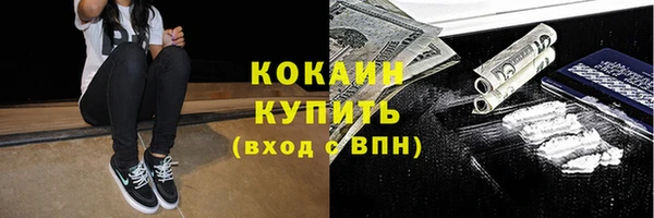 гидра Ахтубинск