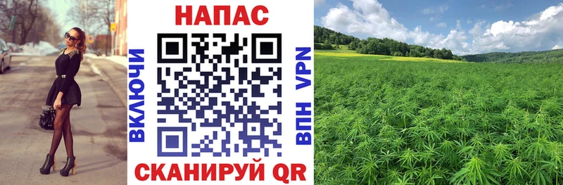Купить где  Карпинск  Бошки Шишки планчик 